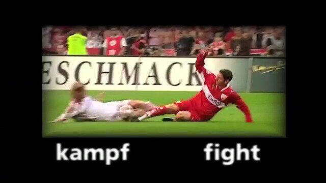 DFB-Pokal Emotionen