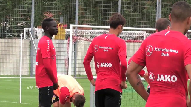 VfB Routinier Daniel Didavi