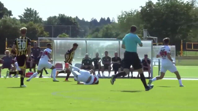 VfB Stuttgart - Vitesse Arnheim 1. Hälfte
