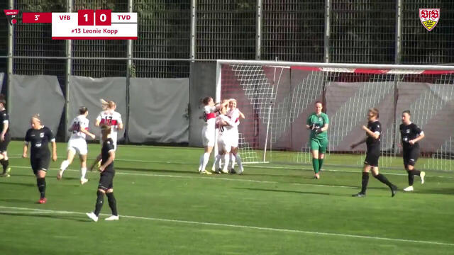 Highlights: VfB – TV Derendingen