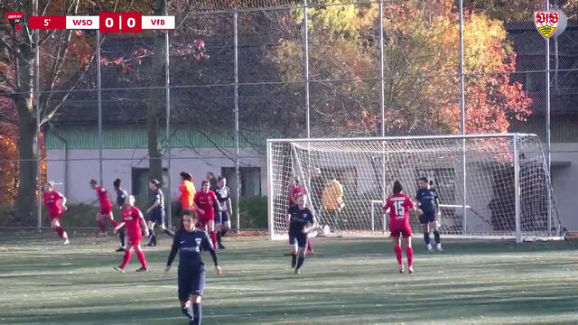 Highlights: FSV Waldebene Stuttgart-Ost - VfB-Frauen
