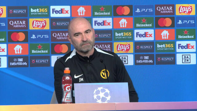 Pressekonferenz Young Boys Bern