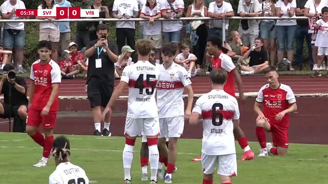 Highlights SV Fellbach - VfB