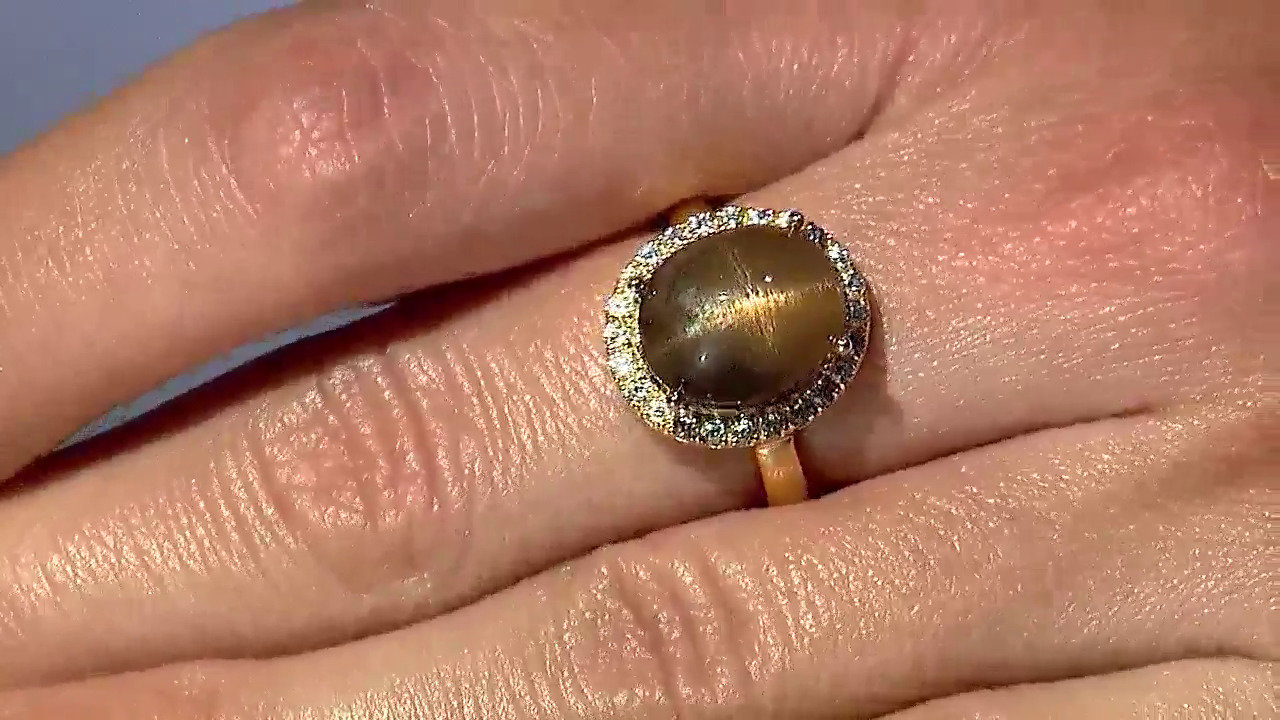 Letzte TV-Show ansehen