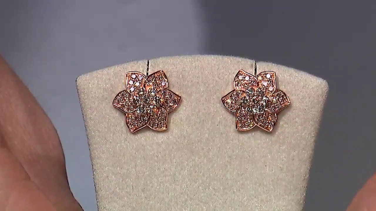 Letzte TV-Show ansehen