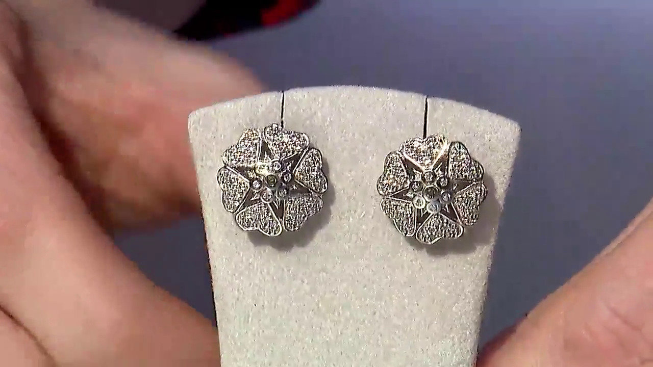 Letzte TV-Show ansehen