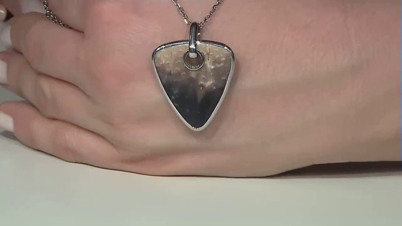 Video Ciondolo in argento con Legno di Palma Pietrificato