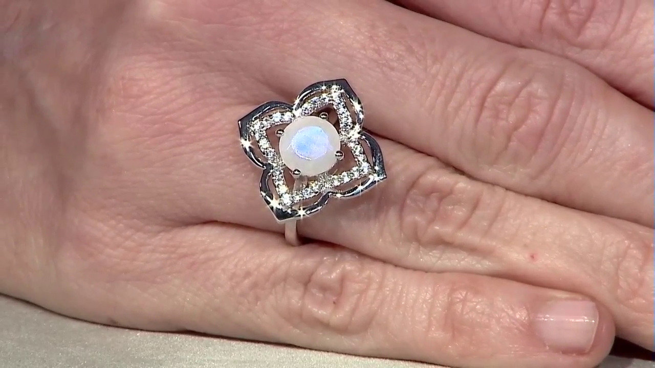 Letzte TV-Show ansehen