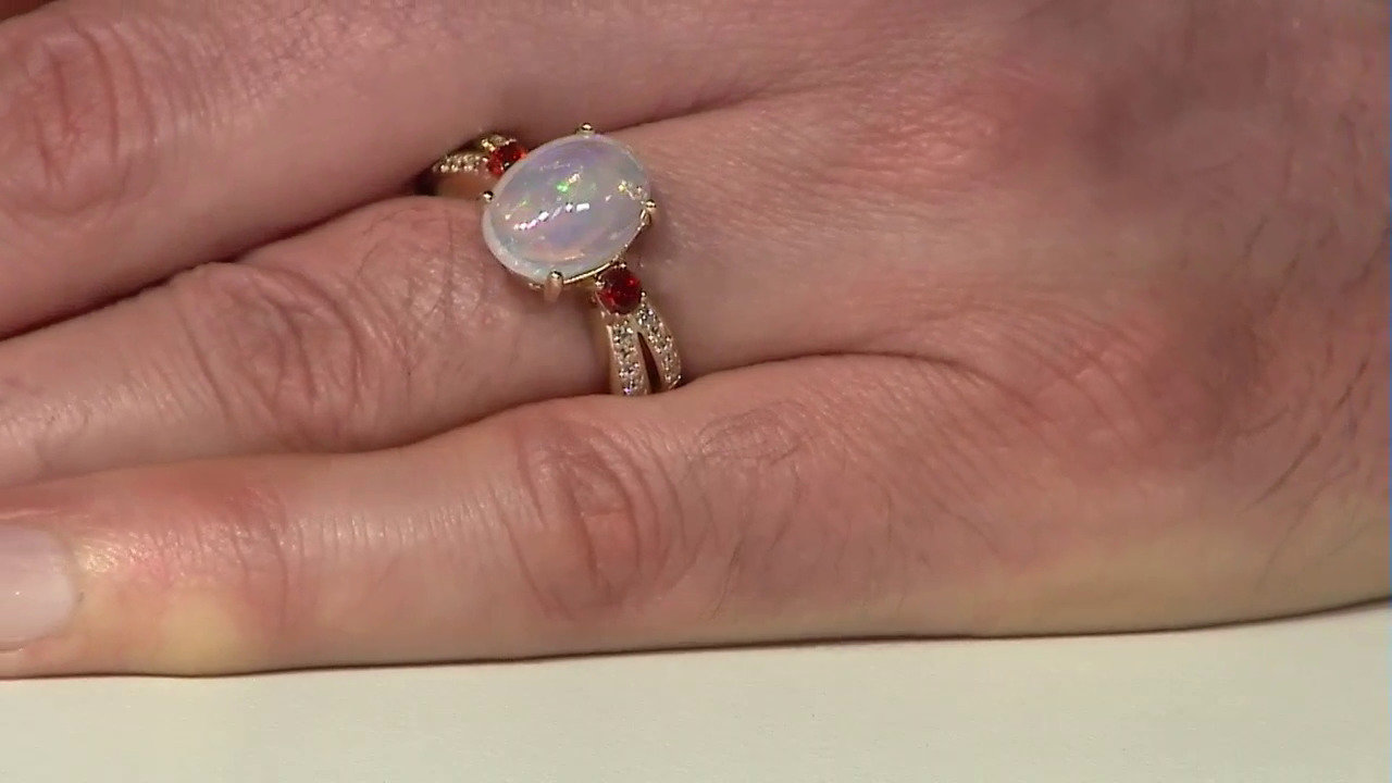 Letzte TV-Show ansehen