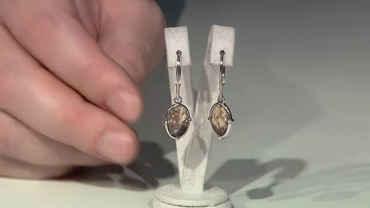 Video Orecchini in argento con Legno di Palma Pietrificato