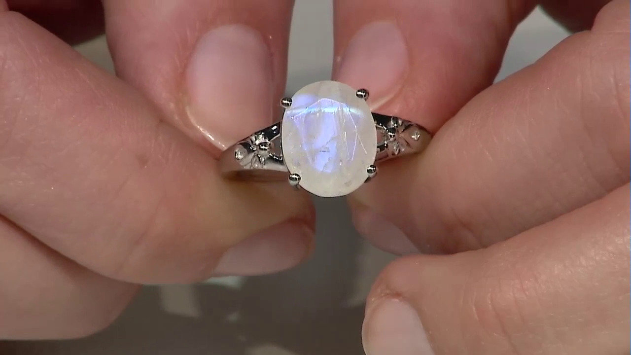 Ver última TV oferta