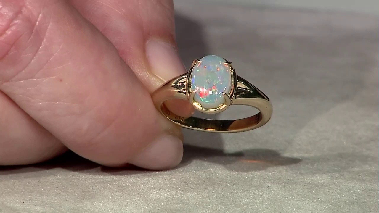 Laatste live aanbiedingen bekijken