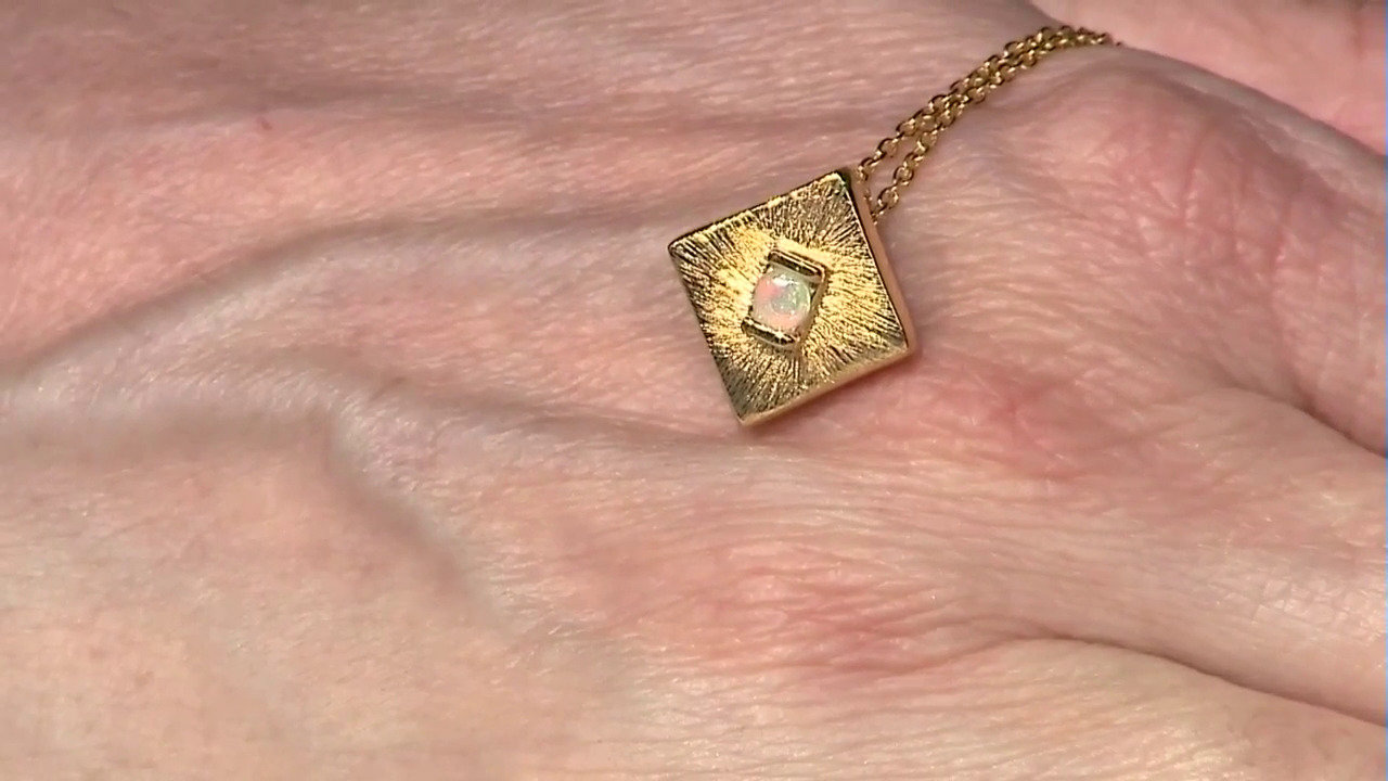 Laatste live aanbiedingen bekijken