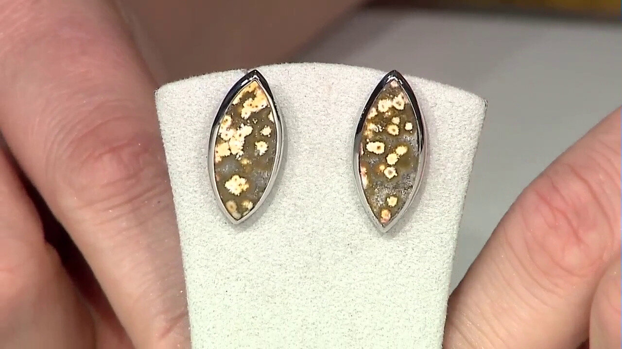 Ver última TV oferta