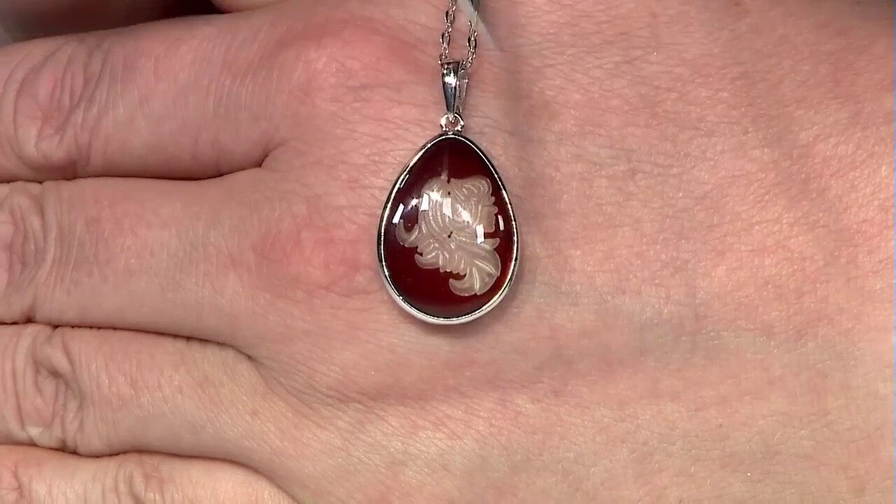 Letzte TV-Show ansehen