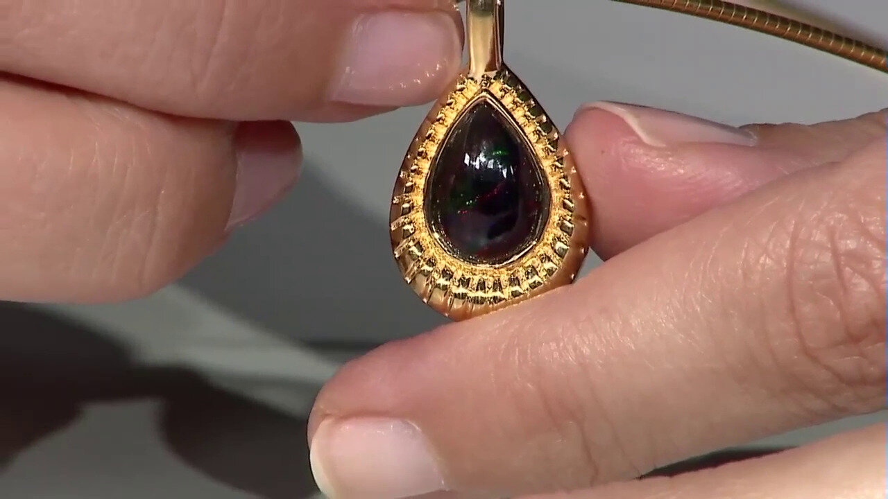 Letzte TV-Show ansehen