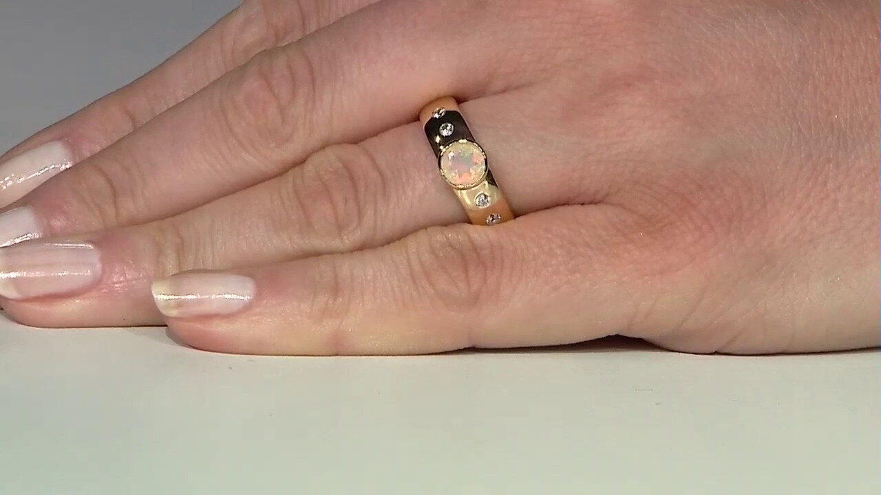 Letzte TV-Show ansehen