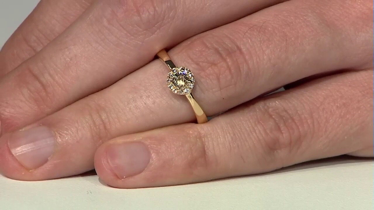 Laatste live aanbiedingen bekijken