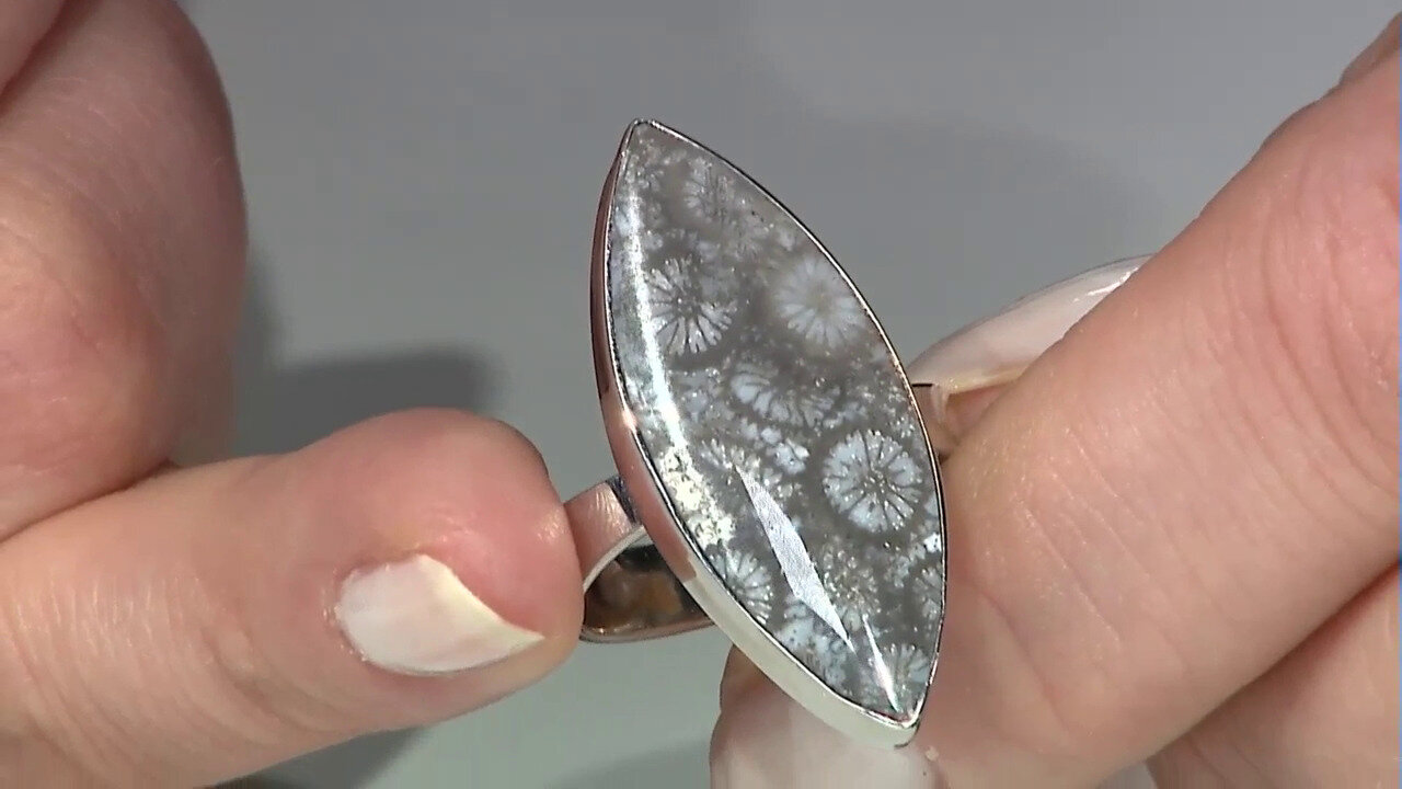 Laatste live aanbiedingen bekijken