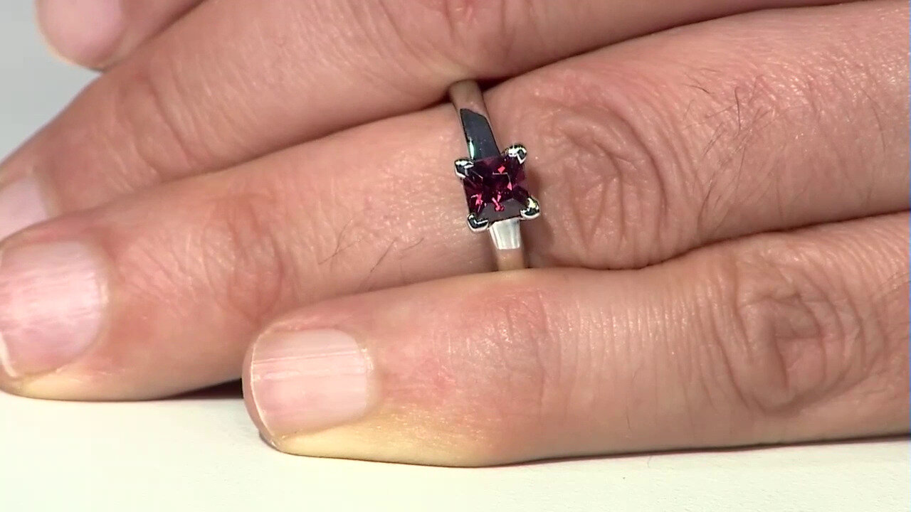 Letzte TV-Show ansehen