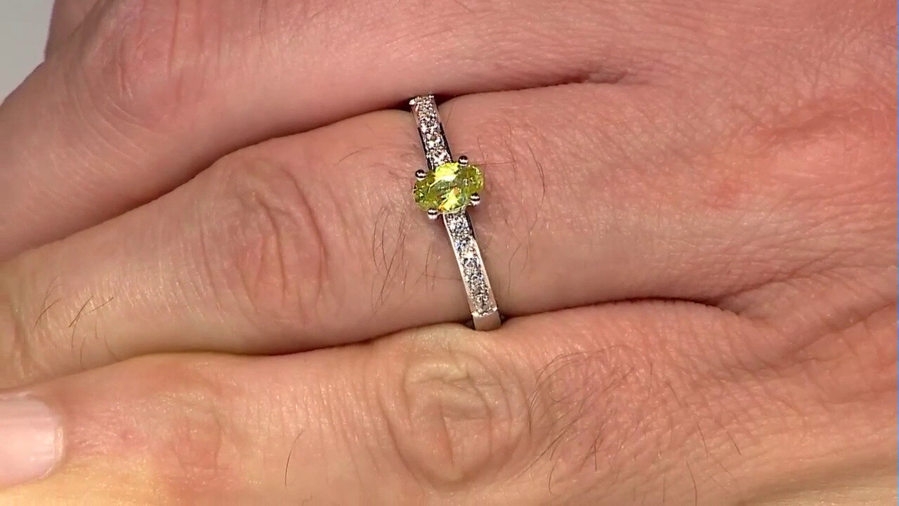 Letzte TV-Show ansehen