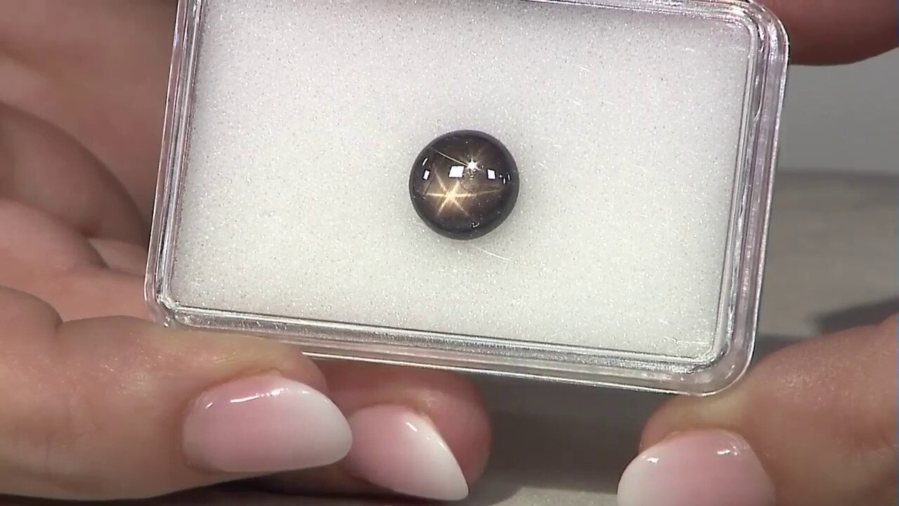 Letzte TV-Show ansehen