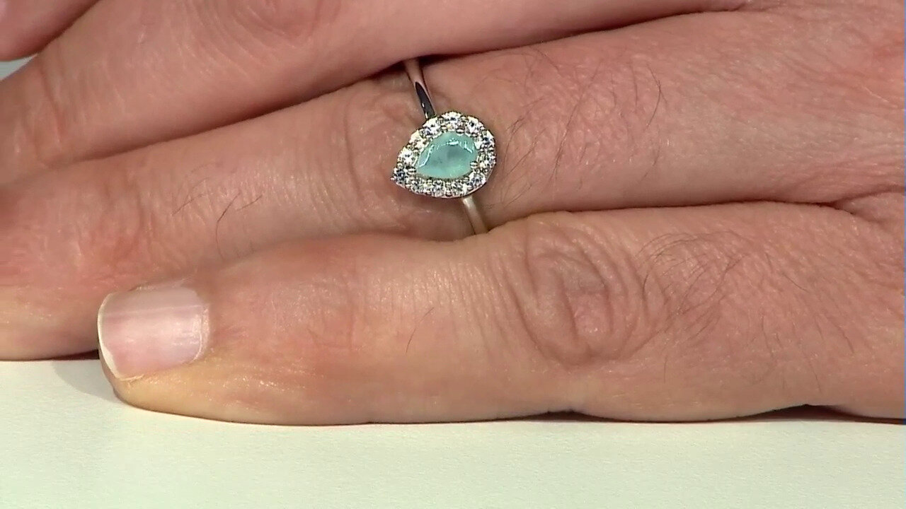 Letzte TV-Show ansehen