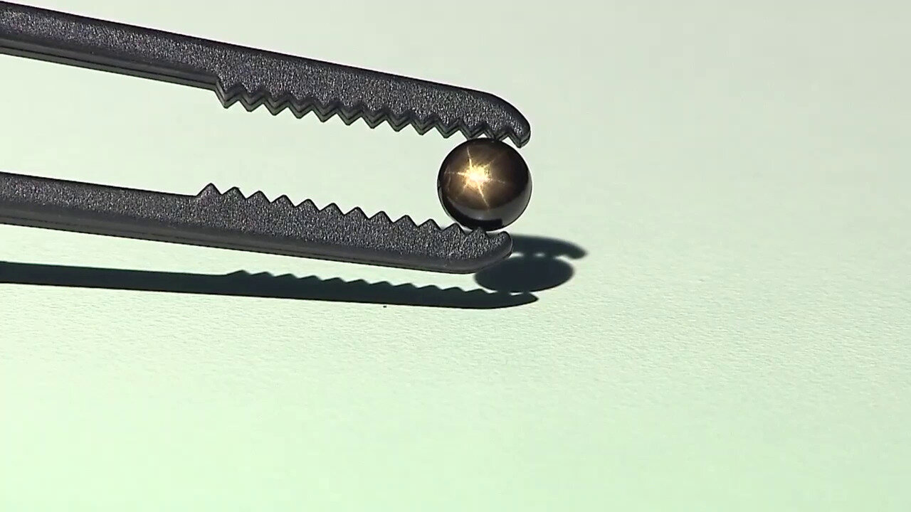 Ver última TV oferta