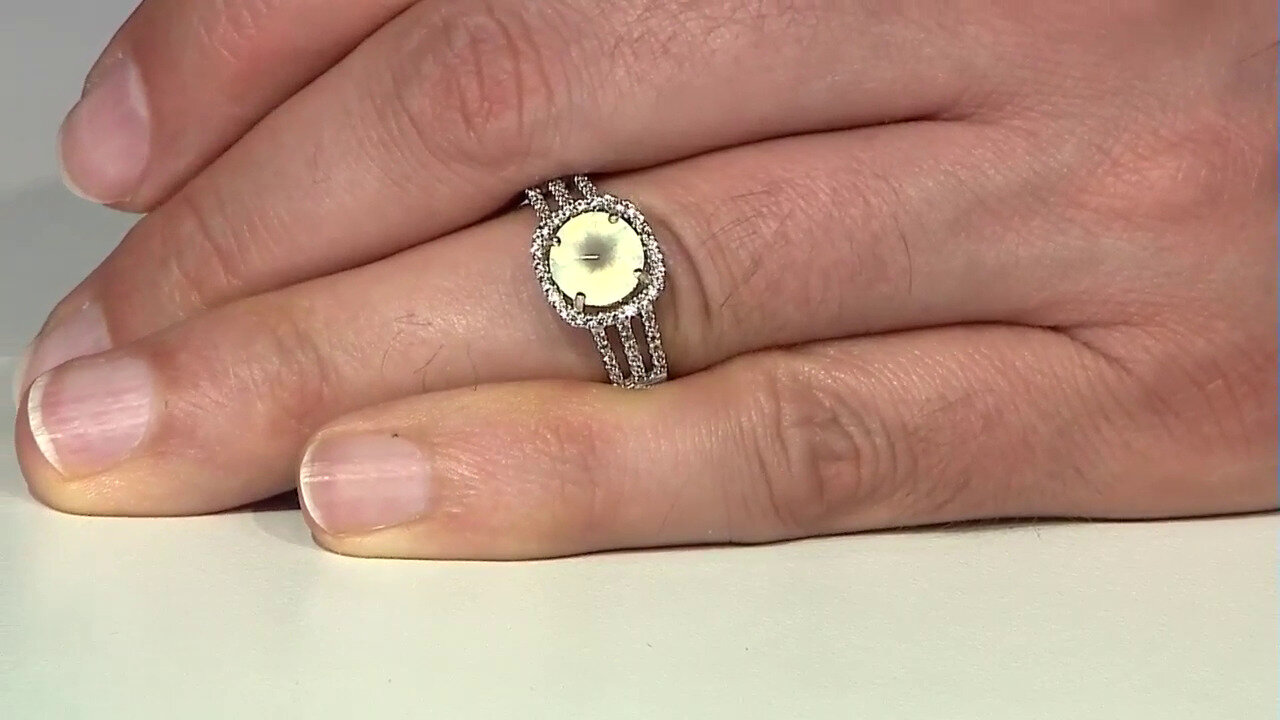 Letzte TV-Show ansehen