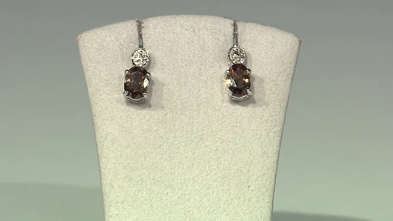 Ver última TV oferta