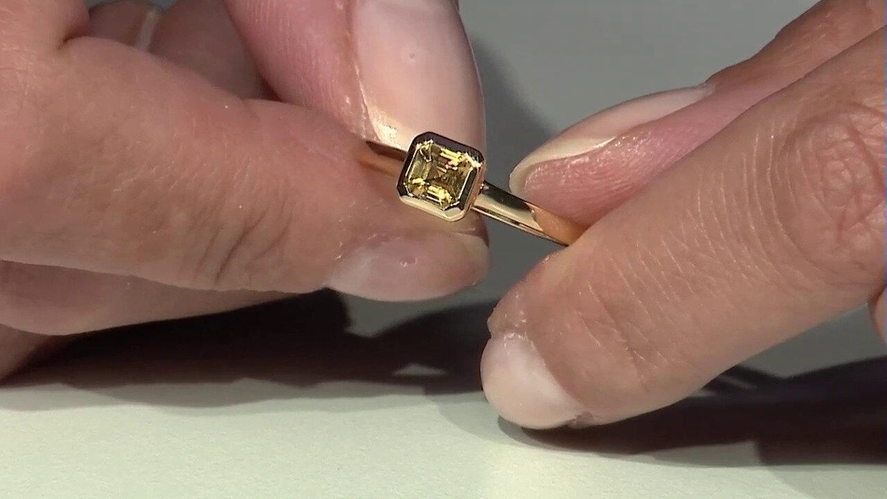 Letzte TV-Show ansehen