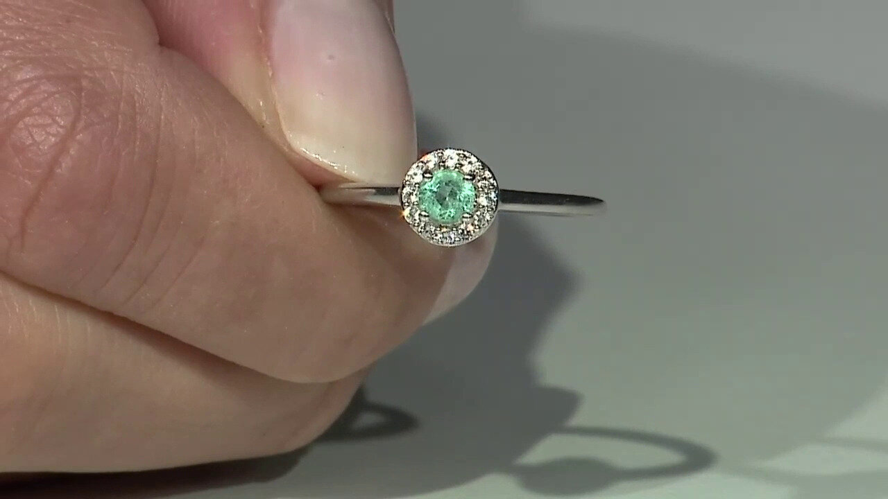 Ver última TV oferta