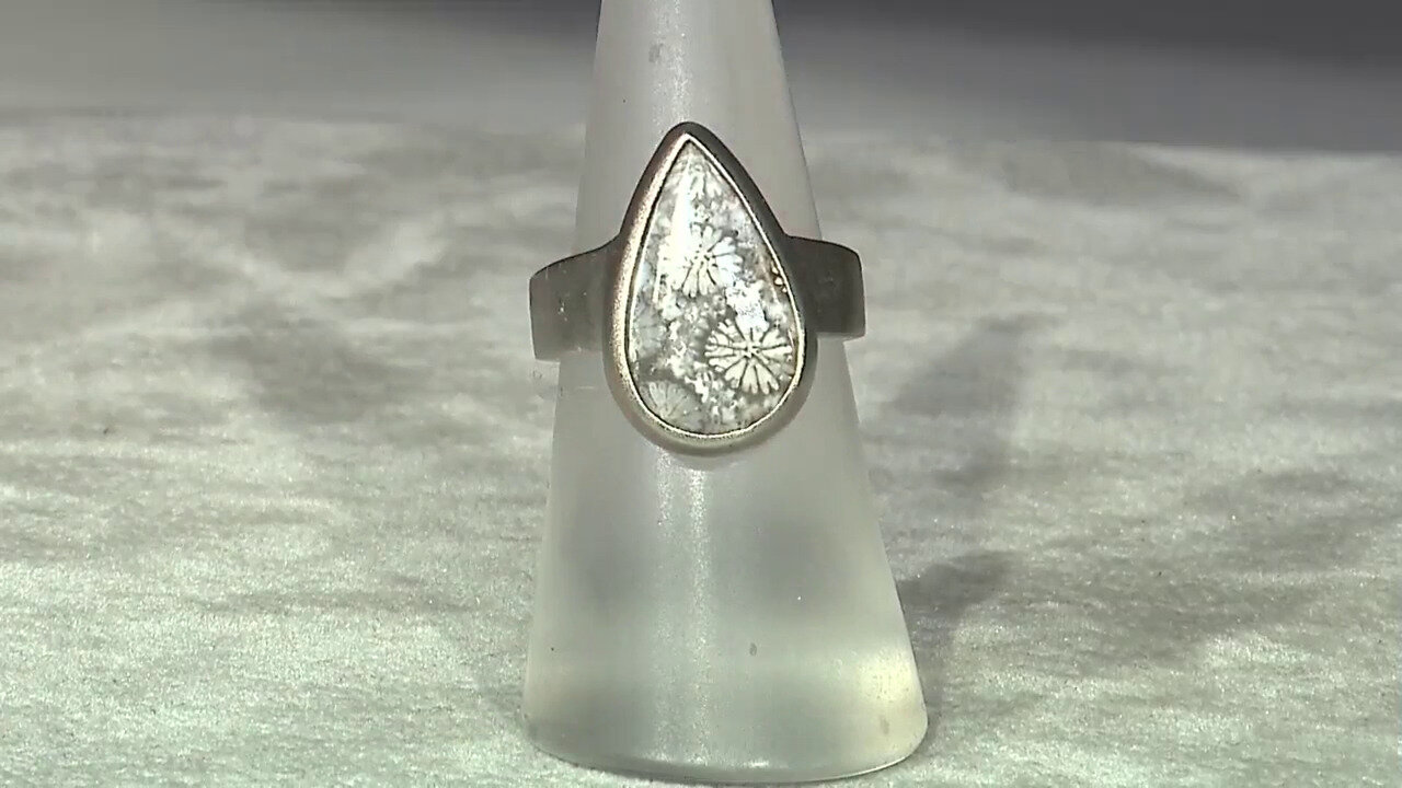 Laatste live aanbiedingen bekijken