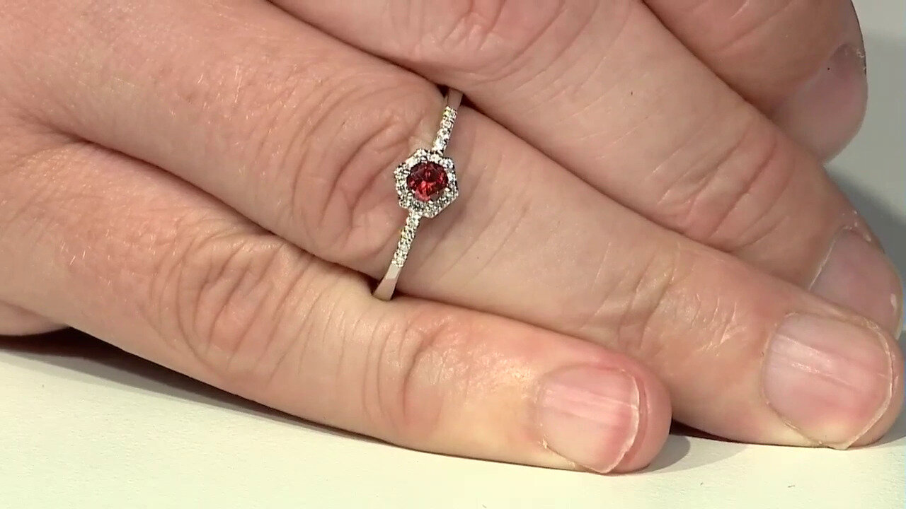 Ver última TV oferta