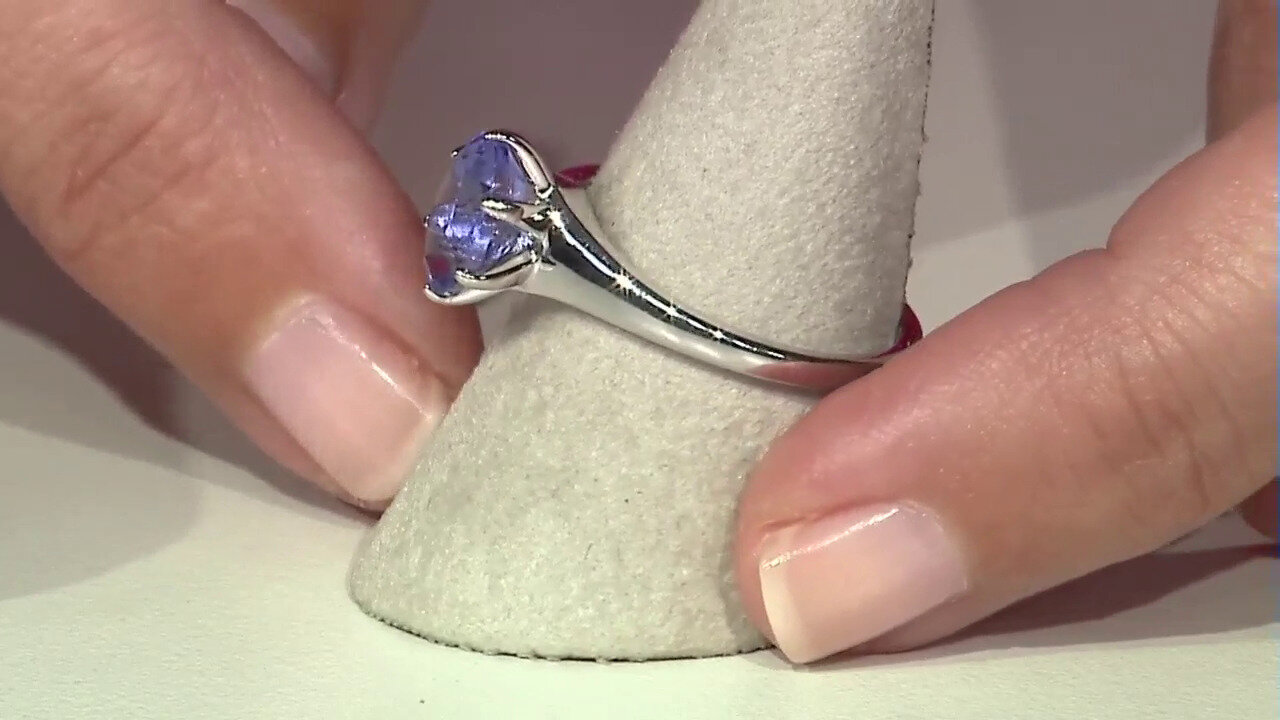 Letzte TV-Show ansehen