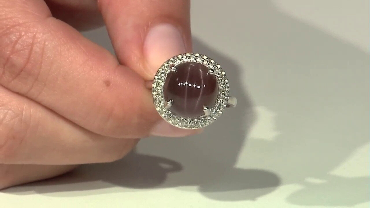 Letzte TV-Show ansehen