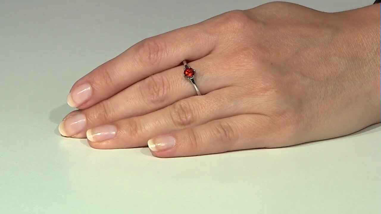 Letzte TV-Show ansehen