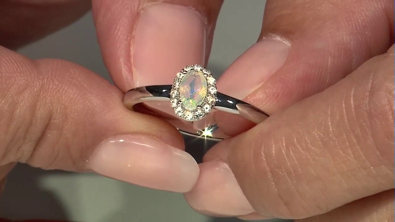 Laatste live aanbiedingen bekijken