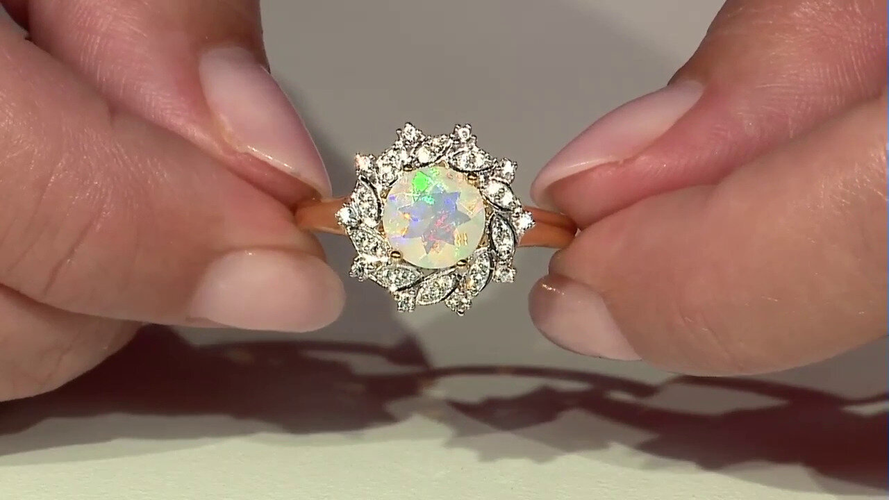 Letzte TV-Show ansehen