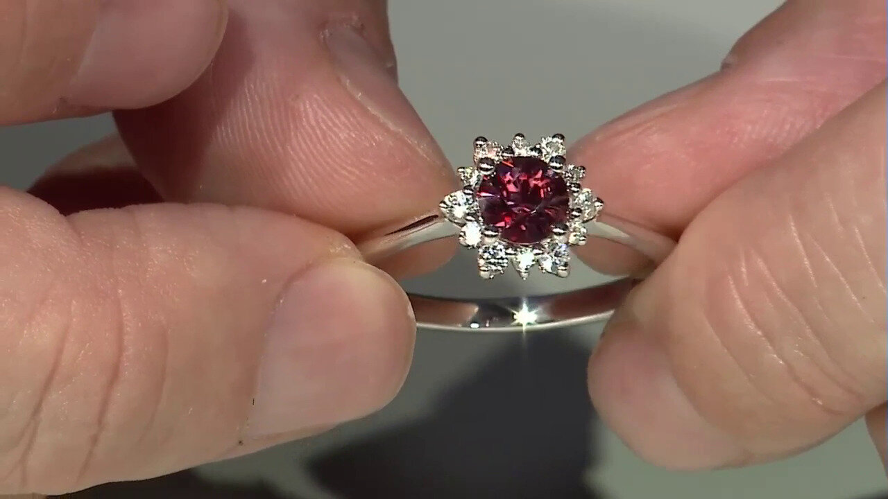 Laatste live aanbiedingen bekijken