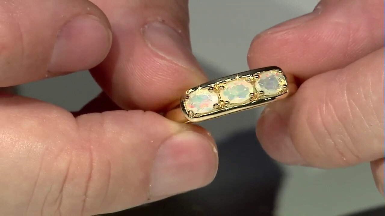 Letzte TV-Show ansehen