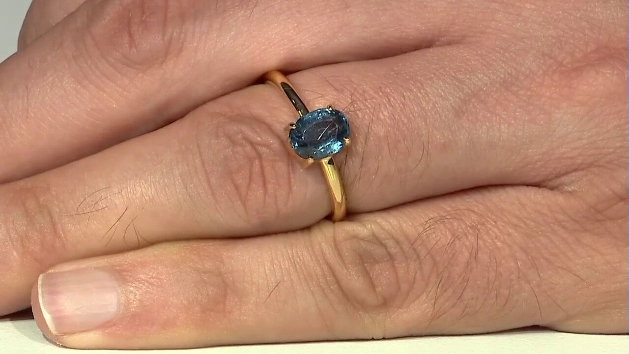 Letzte TV-Show ansehen