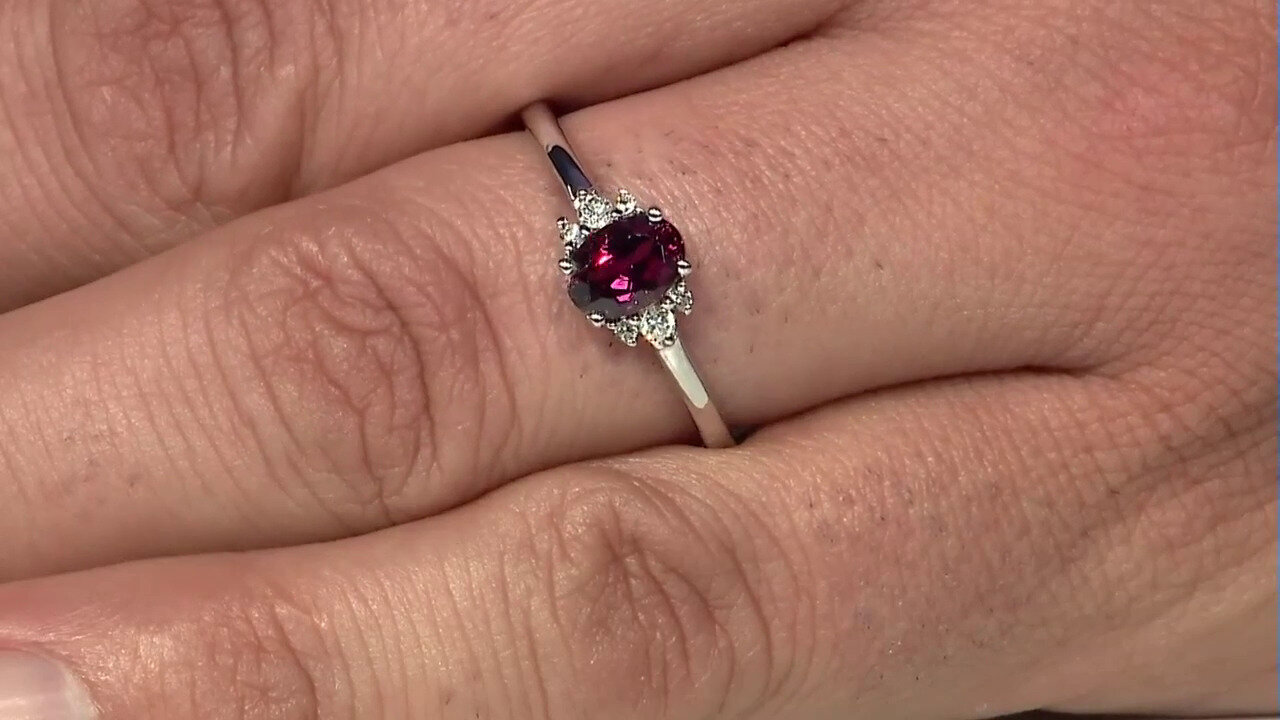 Ver última TV oferta