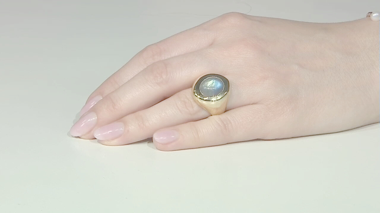 Visualizza l‘ultima asta di gioielli in Tv