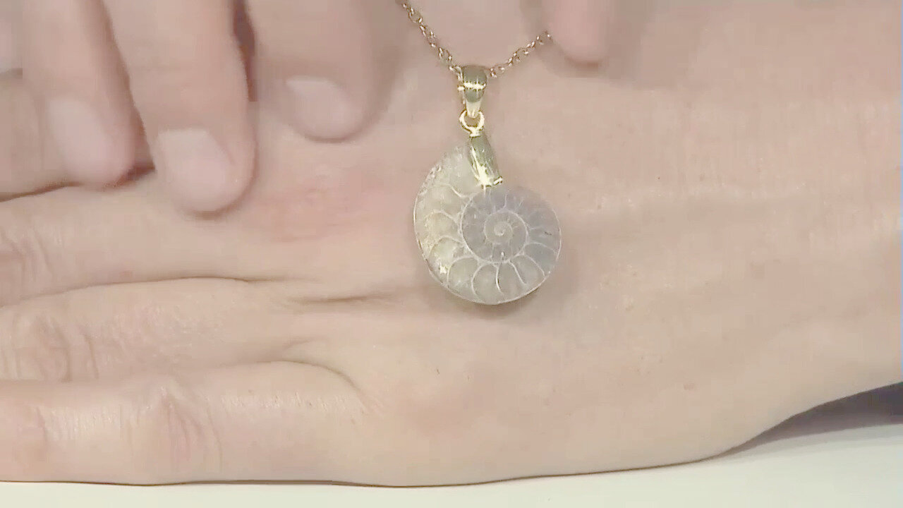 Video Ciondolo in argento con Ammonite