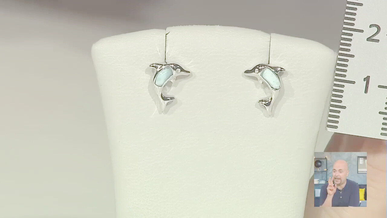 Video Orecchini in argento con Larimar