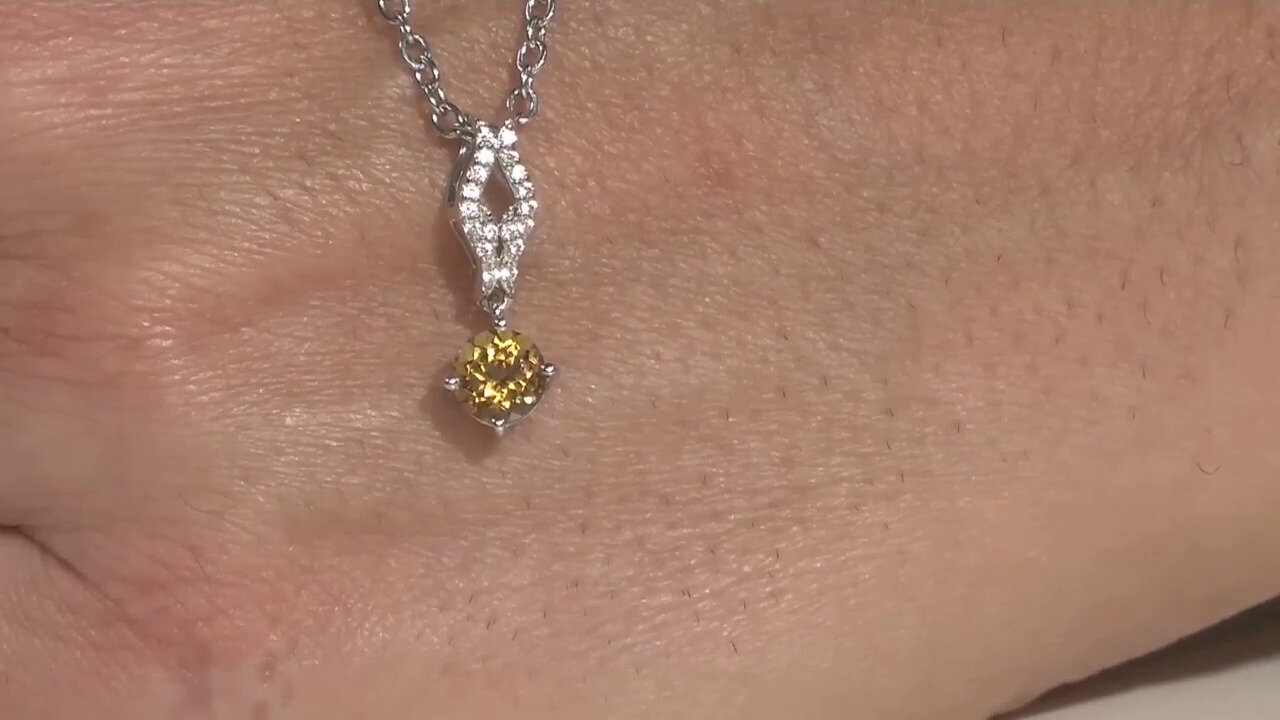 Video Collana in argento con Spinello Nero