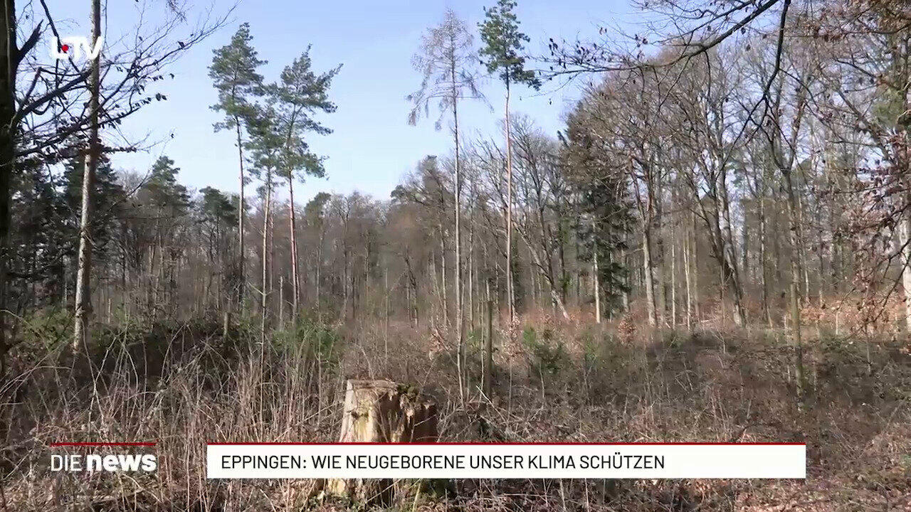 Eppingen: Wie Neugeborene unser Klima schützen