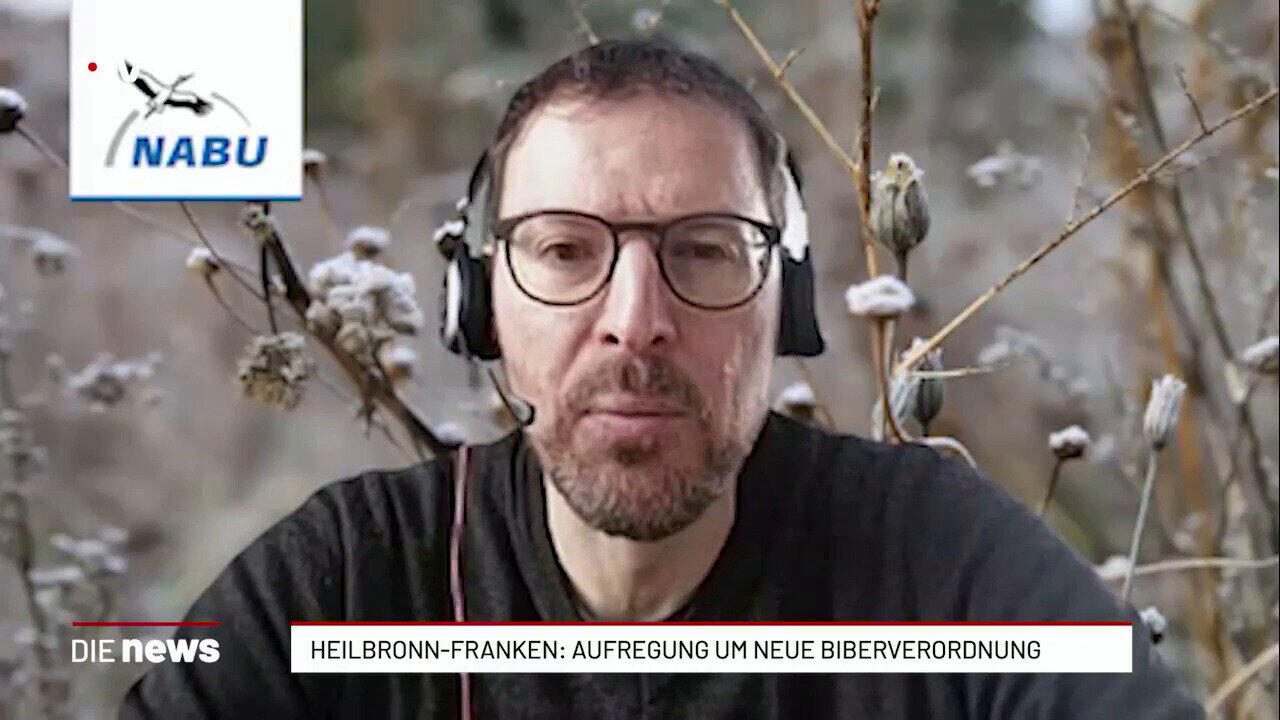 Heilbronn-Franken: Aufregung um neue Biberverodnung