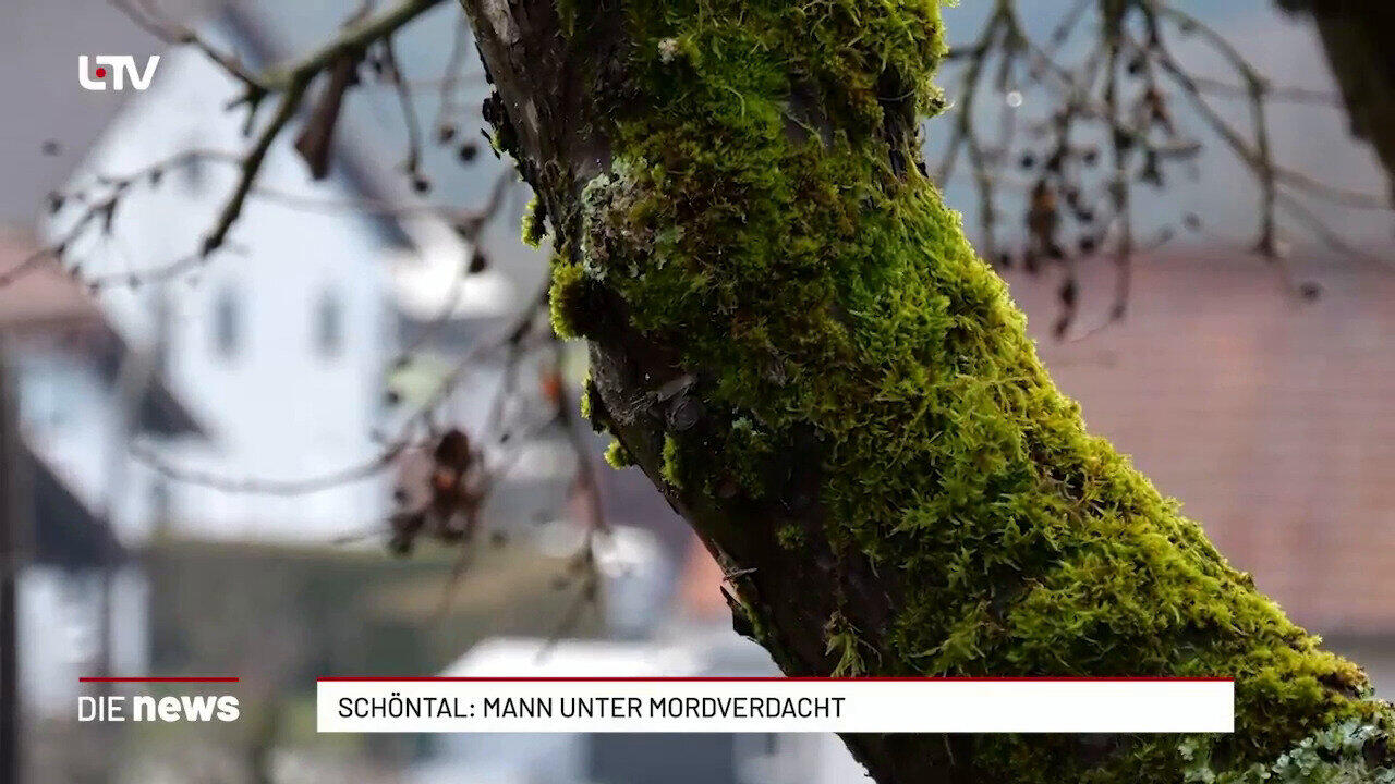 Schöntal: Mann unter Mordverdacht